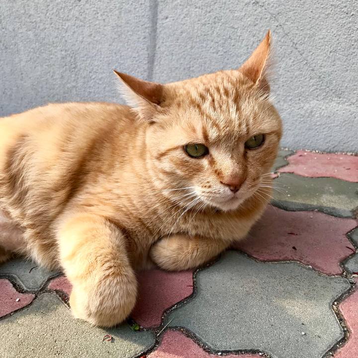 8a0412a4 35ec 4212 9c0d 5ecd01e4ccdf 1522313961129