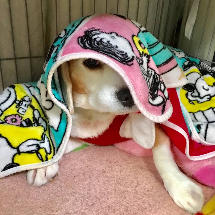 8a0435e0 c0cf 4cf7 814f 54086999759f 1549338037626