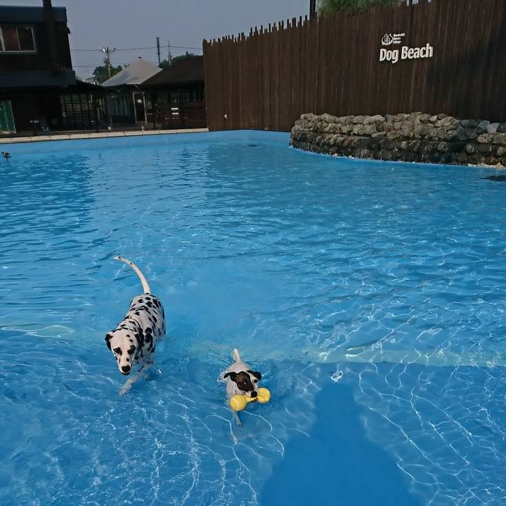 8a0445b8 7ab9 4af0 93ac 840e7ead1191 1531902758813