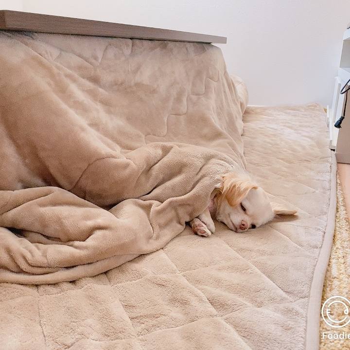 8a047798 d341 43f8 b2ab 74f5ba1a5bd0 1614825440620