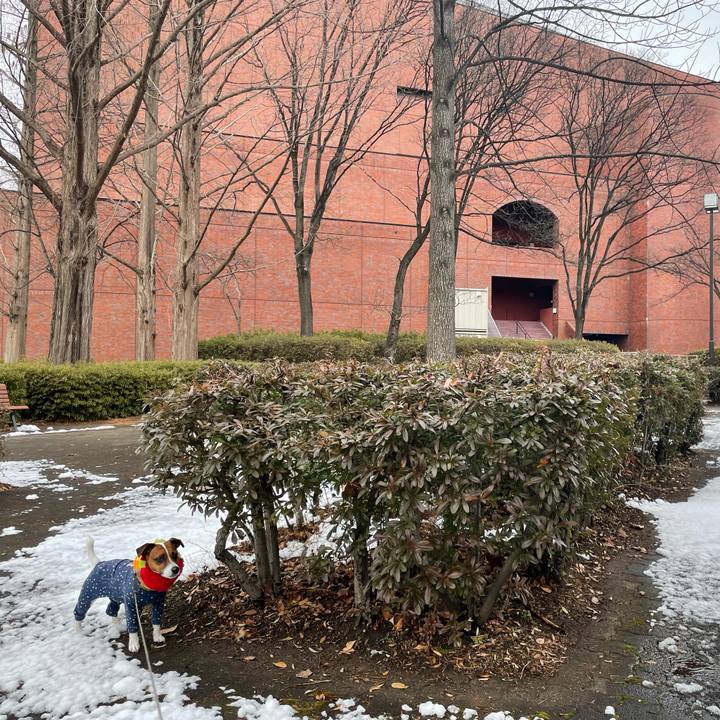 8a048b97 5bb2 4793 a20c 884bd800fed7 1645271247164