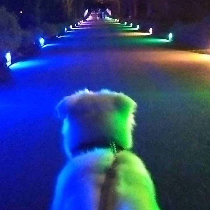 8a048ce2 5155 4053 95d5 9c2734633010 1667047517281