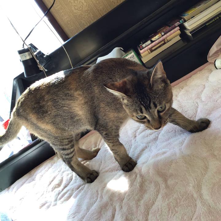 8a049dfe 10da 42ac 90d6 d35b884c7064 1578017130737