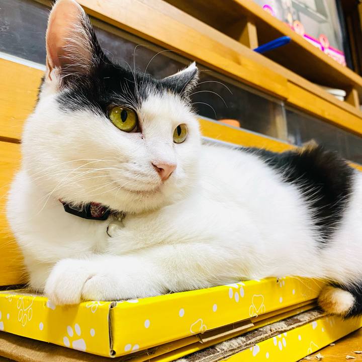 8a04b59f d1f0 4d5b b19f 5cb49dece7f1 1684638185161