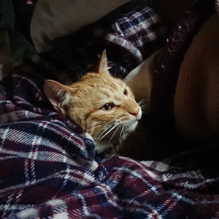 8a04c3fc 3dd9 4f73 8ac4 7d90537fbb00 1645904685342