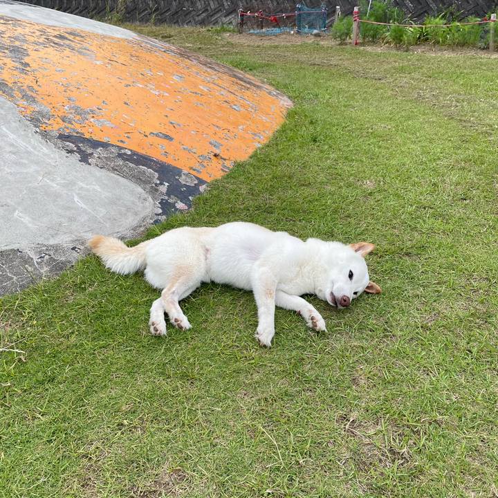 8a04c4a4 c488 4d01 866e d755ed8459b3 1654688825185