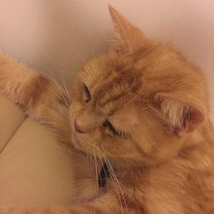 8a04c5b4 fee9 46dc 8d58 4f2a9805c499 1549724917006