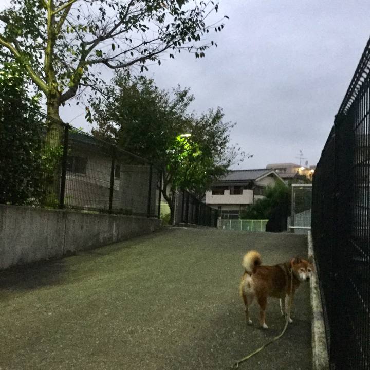 8a051e00 ed40 4829 9813 ca99eb28728c 1602664117510