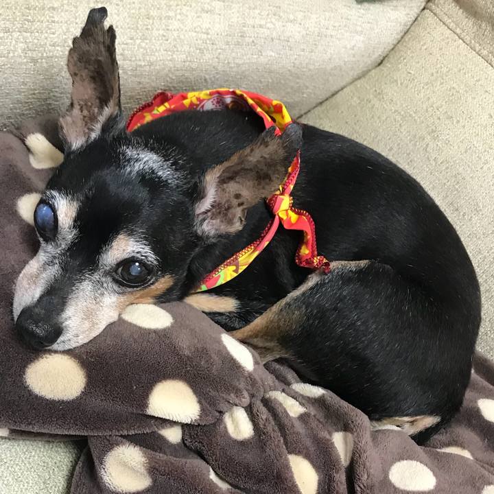 8a05404e cdd0 492c a70f 3fb3ef399b77 1566859790143