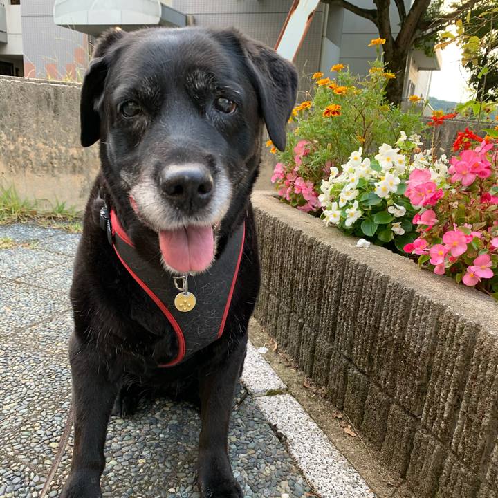 8a060916 413b 4524 a500 9bb6023d5a33 1604366832218