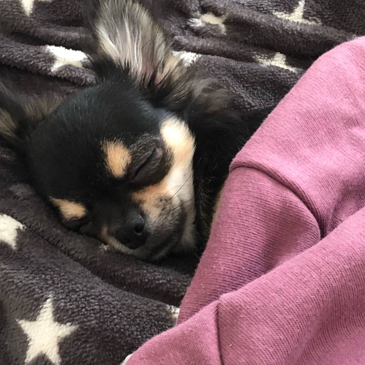 8a061276 0088 4bca b2fd 3ed7089050f5 1541141461701