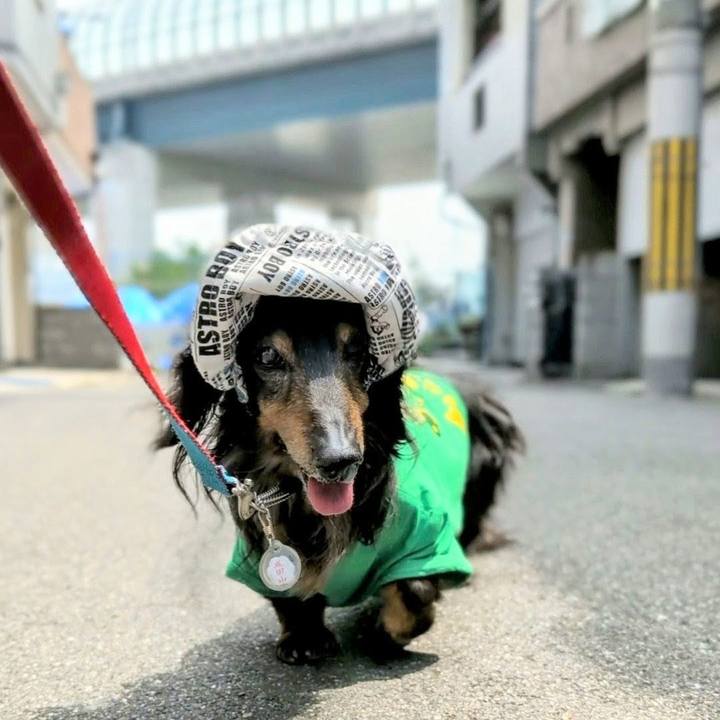 8a061e6c 39f9 4297 a62d 326ad1754e32 1764138860805