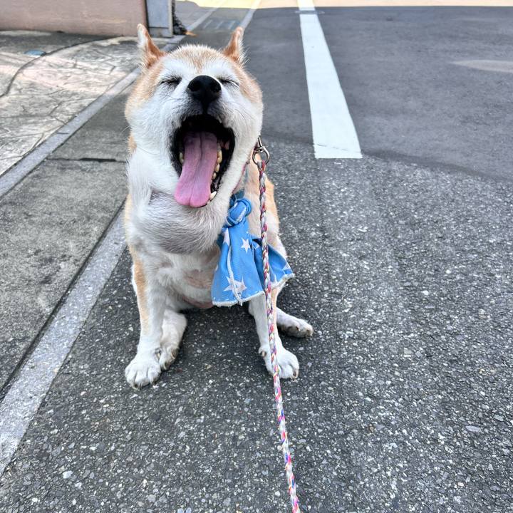 8a065e07 9b00 48f0 826e b8bc538580f8 1755390782740