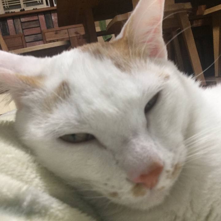 8a069b4e 3b2d 4f5f 9c36 ec16bb9dabe8 1511681895216