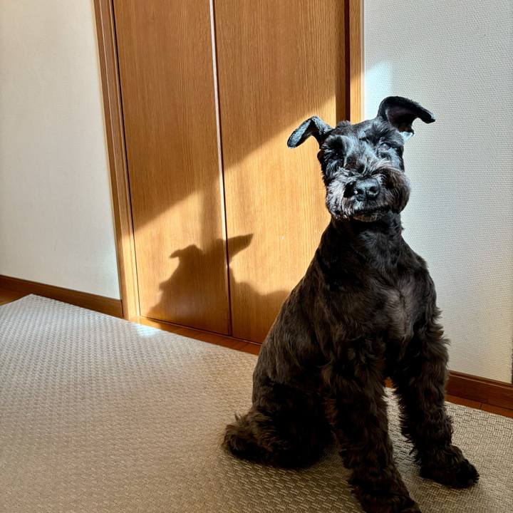 8a0707a8 87c2 4a90 9a4f 4290ce87e37b 1763258583883