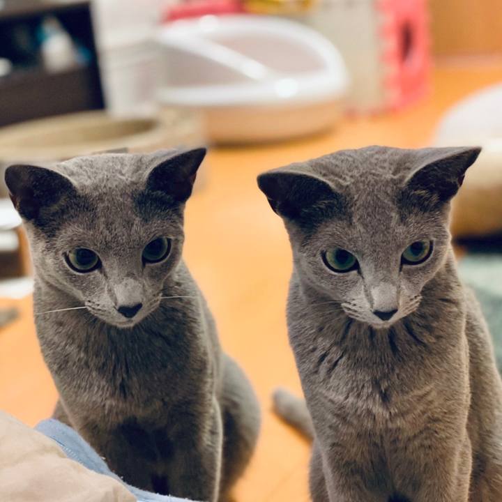 8a070dea 224f 4516 95e0 fd3fb6fddd42 1624230963263