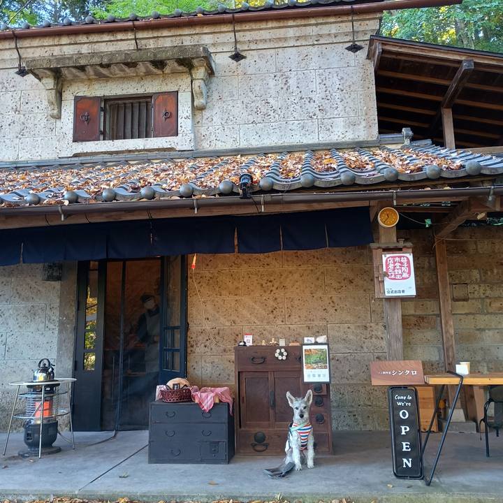 8a07393f 2973 4ae5 a334 dd9fa616782e 1762261480454