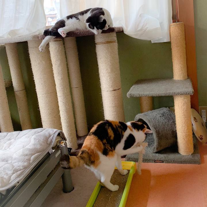 8a075e78 ab1b 4a70 8efa 40717b866dfd 1558057495831