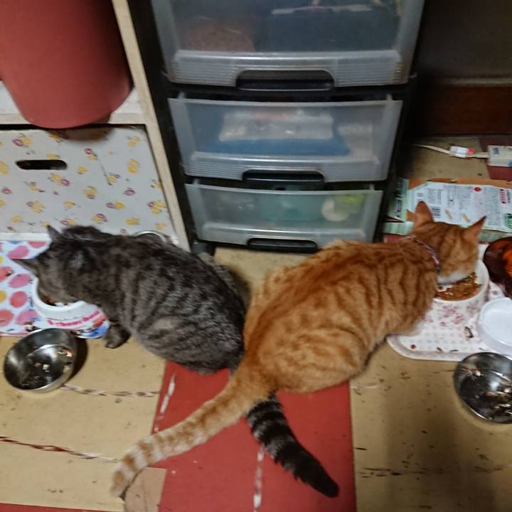 8a076d4e dc05 48bf a3fe 044304cef8a9 1564948743891