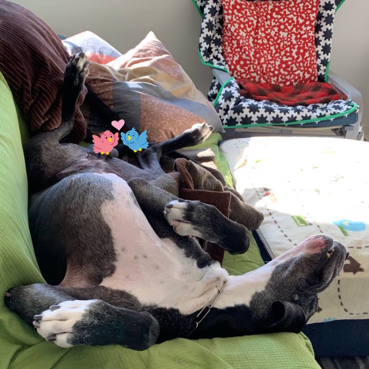 8a0778b6 4b33 47c7 9f76 aaec265999a3 1553035840331