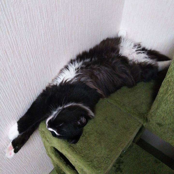 8a07d2bc 21b2 4315 8caa f67e26c4a4ad 1651023557325