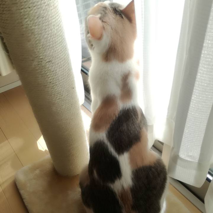 8a07eb29 b46b 4a23 b5cc 3b7db3be8cac 1518661360154