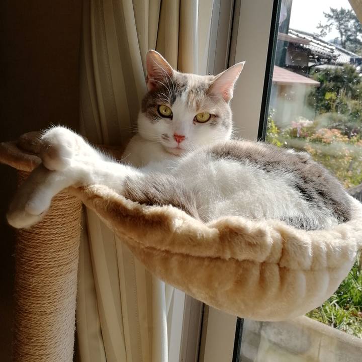 8a07ebbc 5560 474d b73d c625ec876173 1588842283828