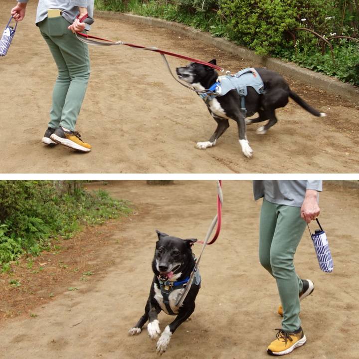 8a080471 2311 441a ad22 29d487a58c8b 1745109893334