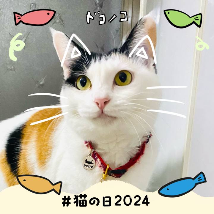 8a08309c d954 4cda 85b2 19ac60f7c918 1708547025002