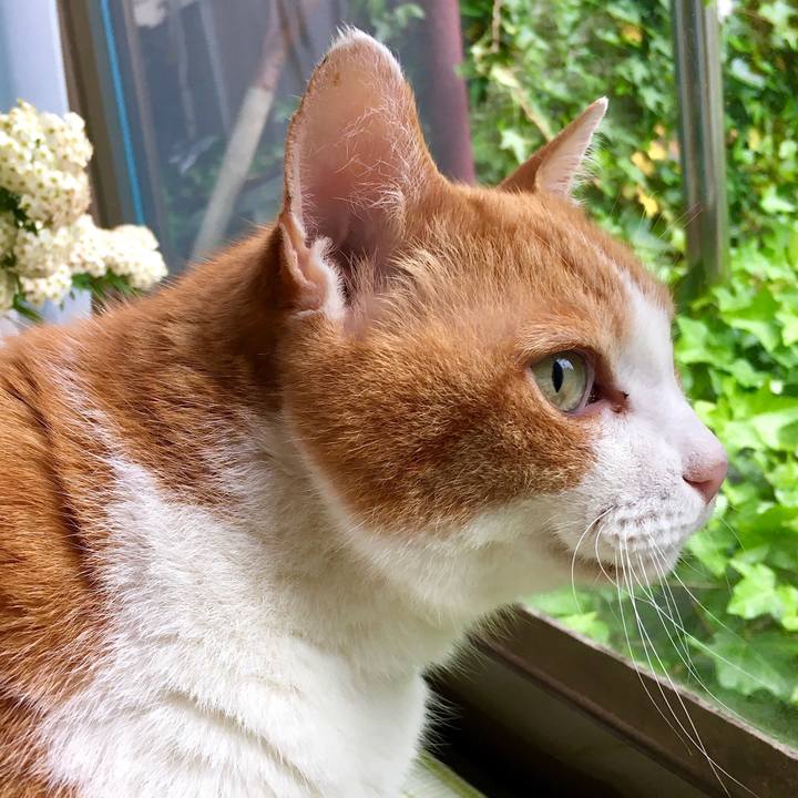 8a083260 5090 4acd 89d2 50f07a1461f8 1589955018273