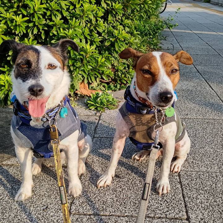 8a085024 aaf8 4114 8790 0342c49f8cbf 1630014802506