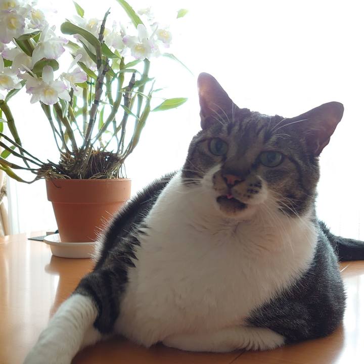 8a086539 1084 4181 b550 68557a1fd927 1623883270228