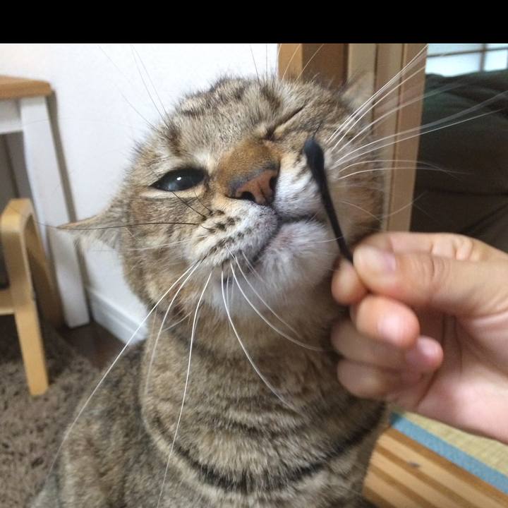 8a088311 c803 4821 8fd1 657a3961f185 1697467296377