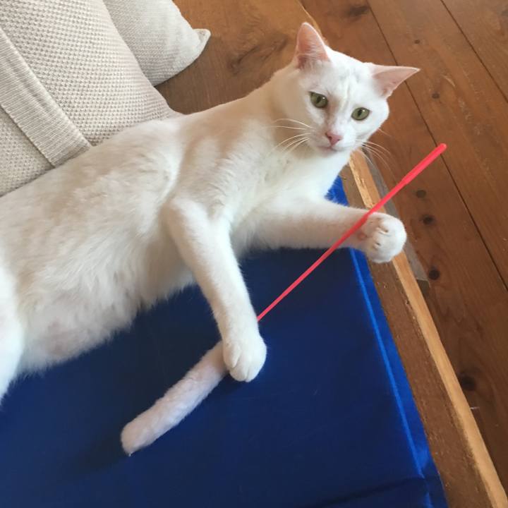 8a0887fc b9a2 4128 ba32 6eef797e6eb5 1533692868922