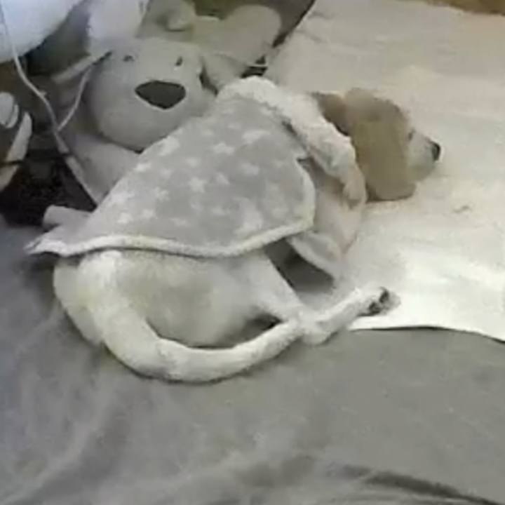 8a08e1d4 71c9 4796 b205 acbd18b457b6 1639532921923