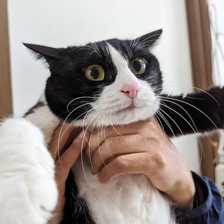 8a08e792 6de6 4396 ba21 5507dde1ac5b 1707015179529