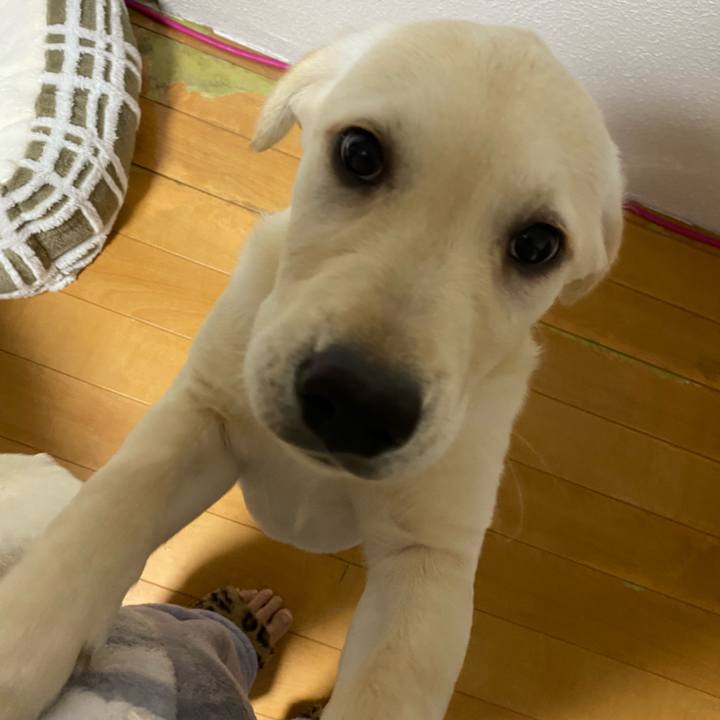 8a0903d7 3e84 4835 95b6 78ac46b92844 1616073262868