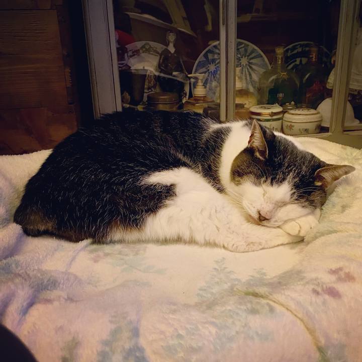 8a091f1b 6adb 4ca7 9680 3d203fa02a5c 1612104212305