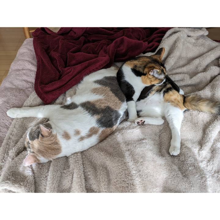 8a092bc5 59b5 41ef 9edc 183324d6fe12 1708053790388