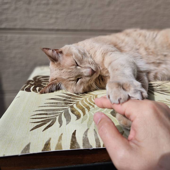 8a096f16 157b 421e 9cfb 10d409c4870d 1746400938093