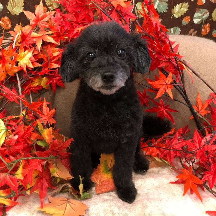 8a097104 a5f0 48a4 9937 0702dc04cdd5 1604837169992