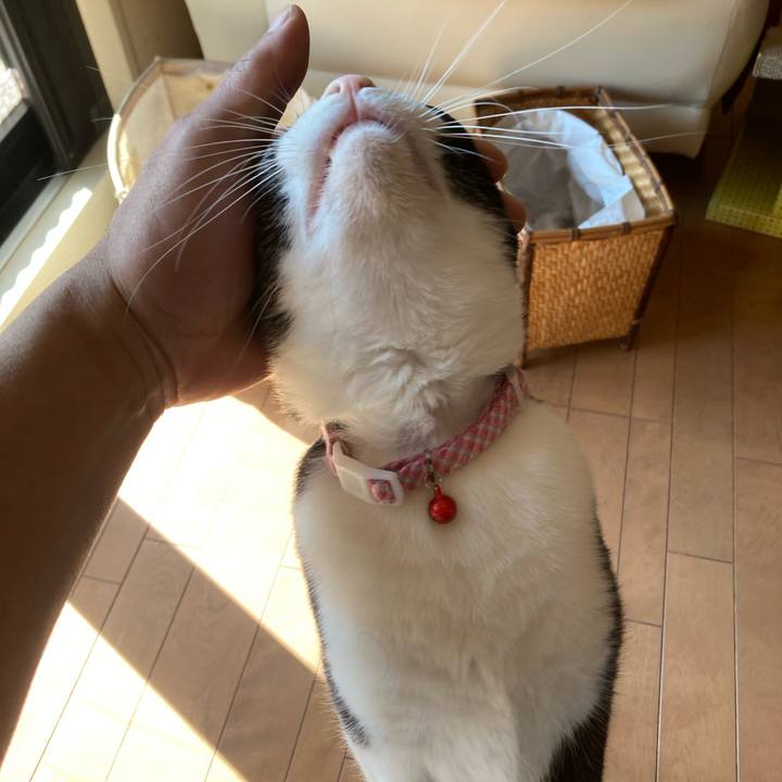 8a099aec 7dcb 4cc5 bfcf dabac9d89601 1613878457073