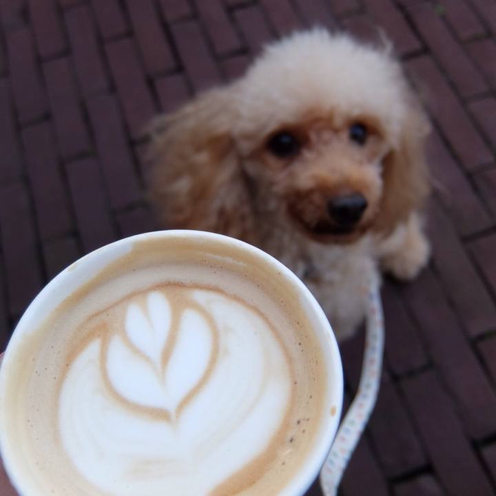 8a09bc3d 559b 4f4c 8146 23e78c53cca7 1508416751703