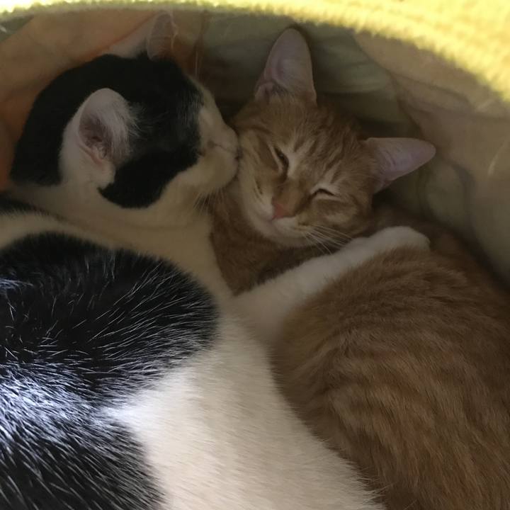 8a09bdee befe 4296 bc81 150af43e1f35 1519832172883