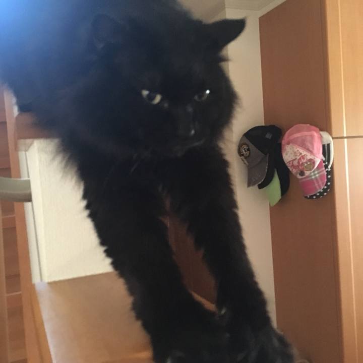 8a09de12 9a34 47d6 8b27 51b7baea5752 1560471002892