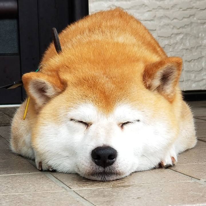 8a09e1f1 d764 4a73 82bc f0753d6cd278 1592120300277