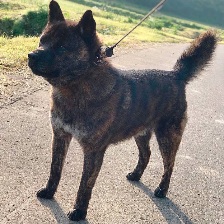 8a0a1e48 7ddd 46b4 ba40 951c056c2b8c 1526336692277