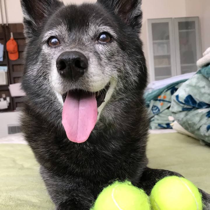 8a0a3f8e 75b0 4c4e 8a19 2f8e5d1e25f3 1603801316995