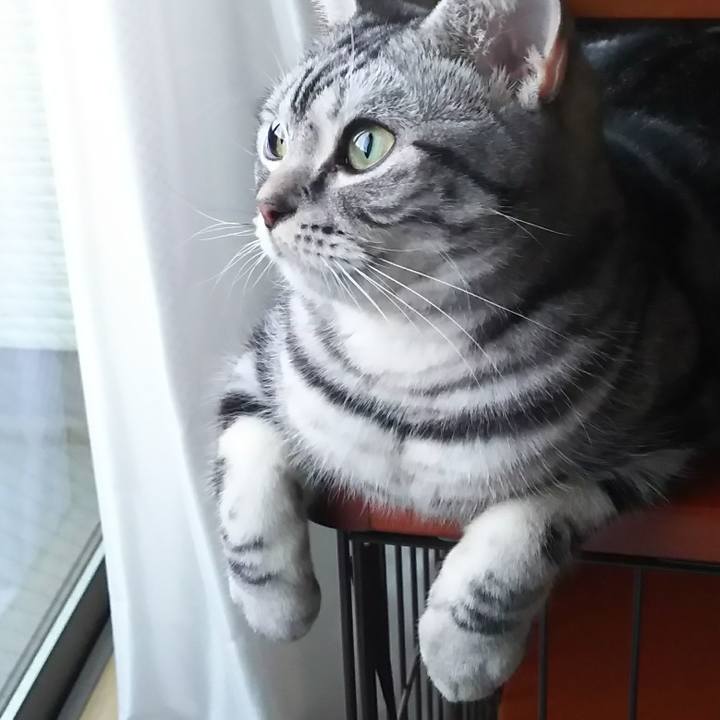 8a0a6556 edff 428c 913b d7f12f80c71d 1579305486098