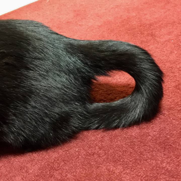 8a0a6ea0 ef3c 4b0e 9be0 0b8464935a9b 1515491730106